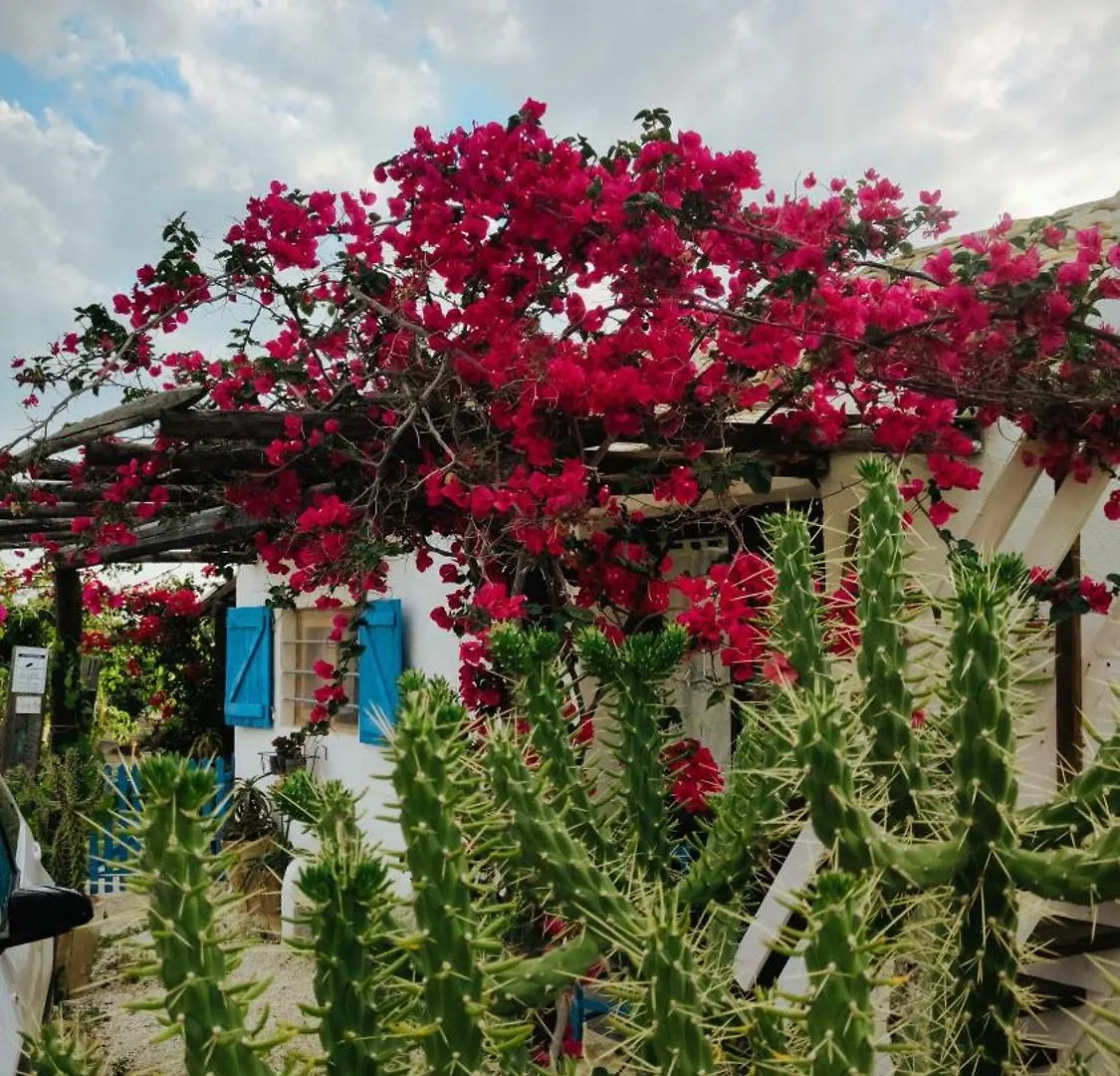 Sweet Old House Apartment Marsala 0*,