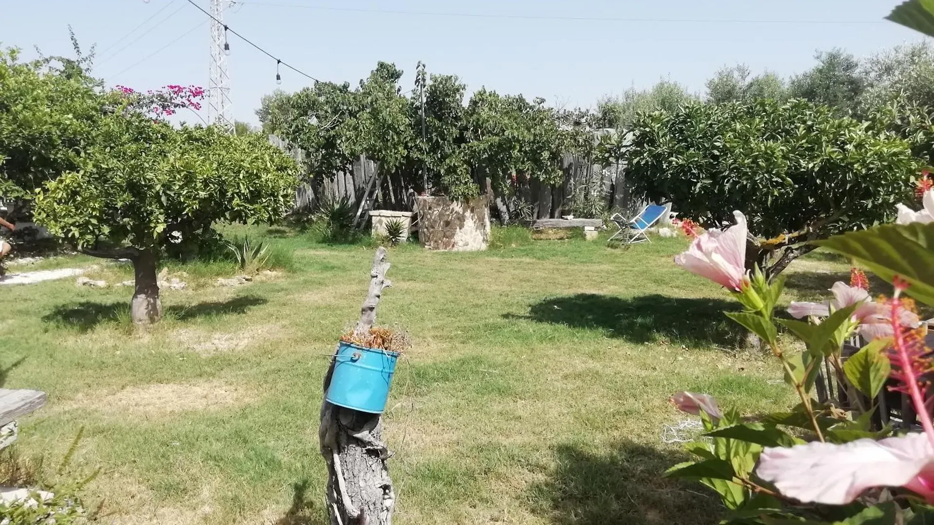 Homestay Sweet Old House Apartment Marsala