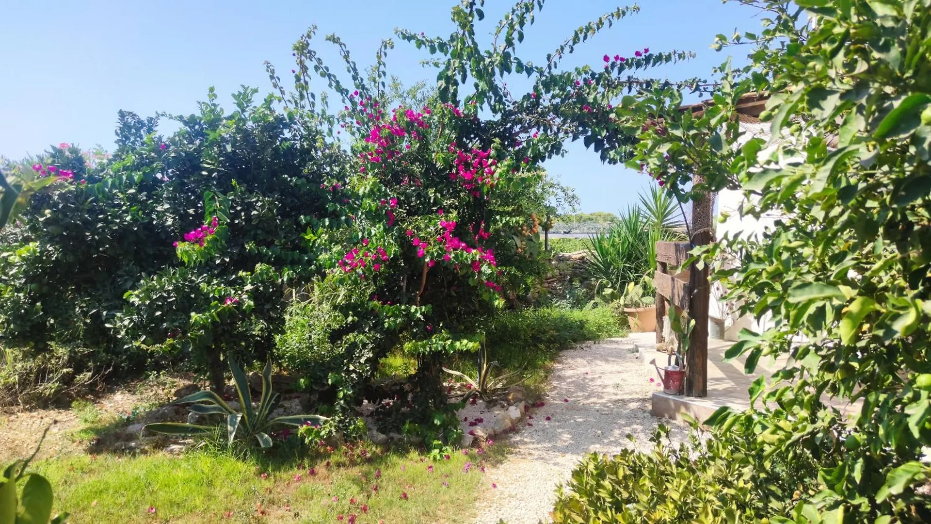 Sweet Old House Apartment Marsala Italy